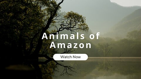 Animals of Amazon 4K Part 1 - A Breathtaking Wildlife Adventure