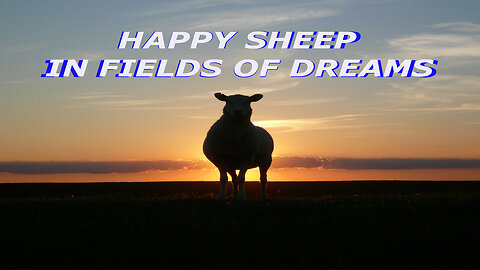 HAPPY SHEEP IN FIELDS OF DREAMS