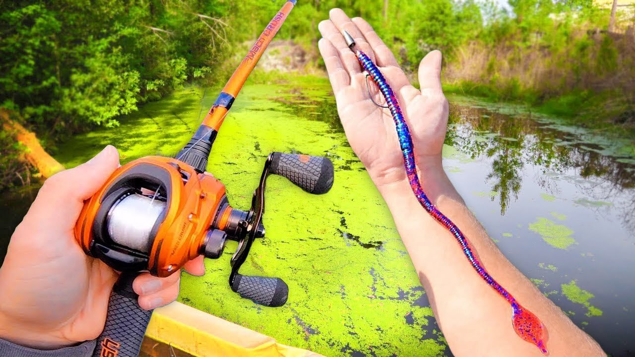 BEST Day of POND Fishing! (LOADED w/ GIANT Bass)