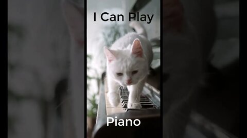 I Can Play Piano