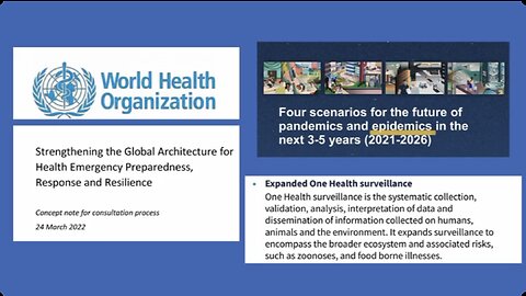 WHO and its new HEPRR: Do They Care About Life Or Data Gathering? - UK Column News