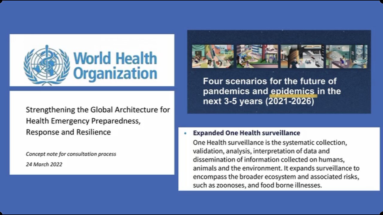 WHO and its new HEPRR: Do They Care About Life Or Data Gathering? - UK Column News