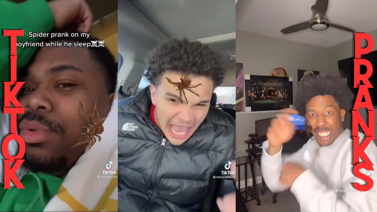 Hilarious TikTok Filter Pranks Nov 2024