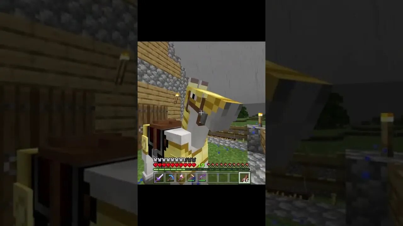 Surprising My Girlfriend With A NEW Horse in Minecraft