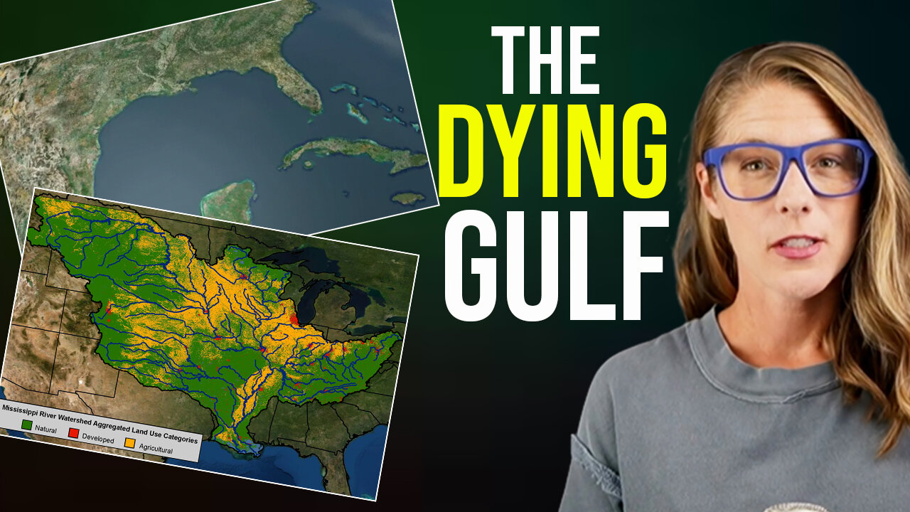 What & Who are killing the Gulf of Mexico? || Jack E. Davis