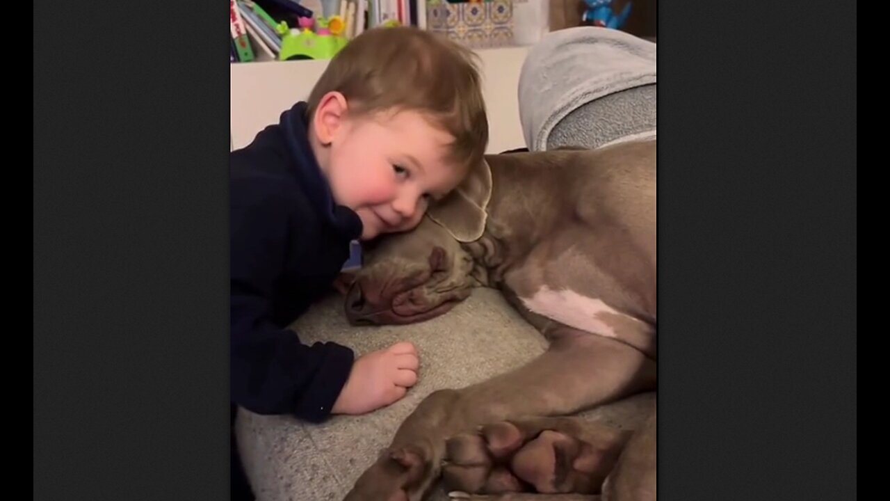 Children Loving Their Dogs