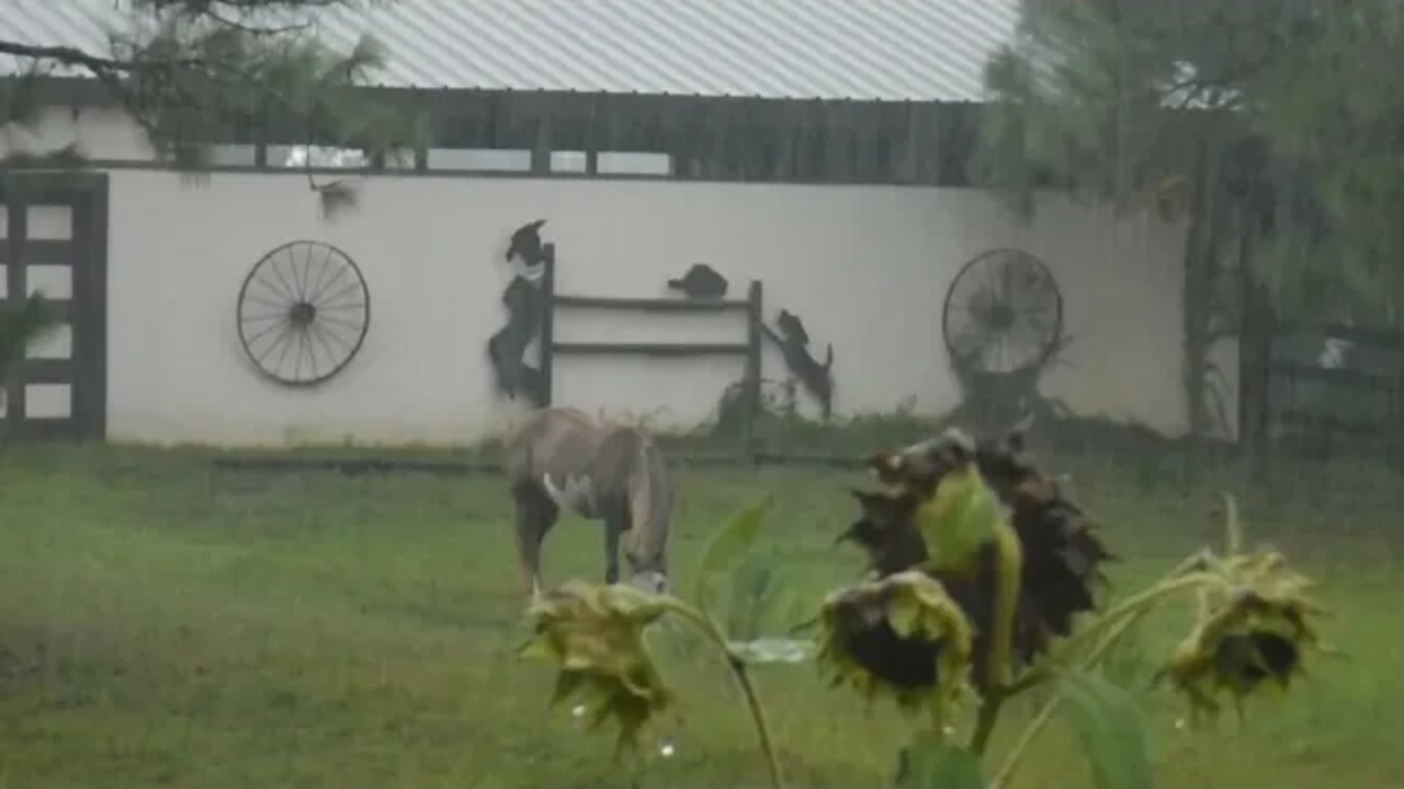 Sept. 10 2022 4 inches of rain thunder storm 3 hours.