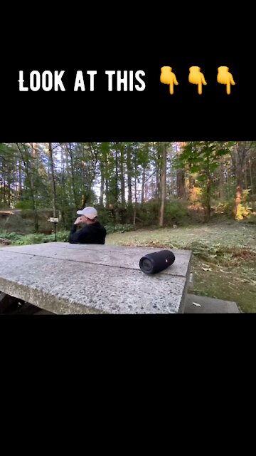 Beautiful Barred Owl Swoops By! 🦉