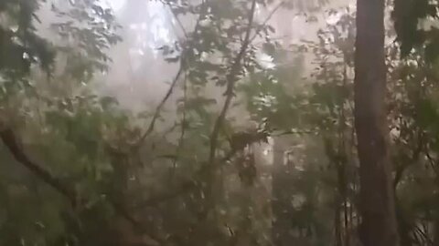 Ukraine Gases Russian Positions With Chloropicrin