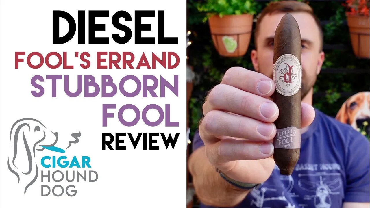 Diesel Fool's Errand Stubborn Fool Cigar Review