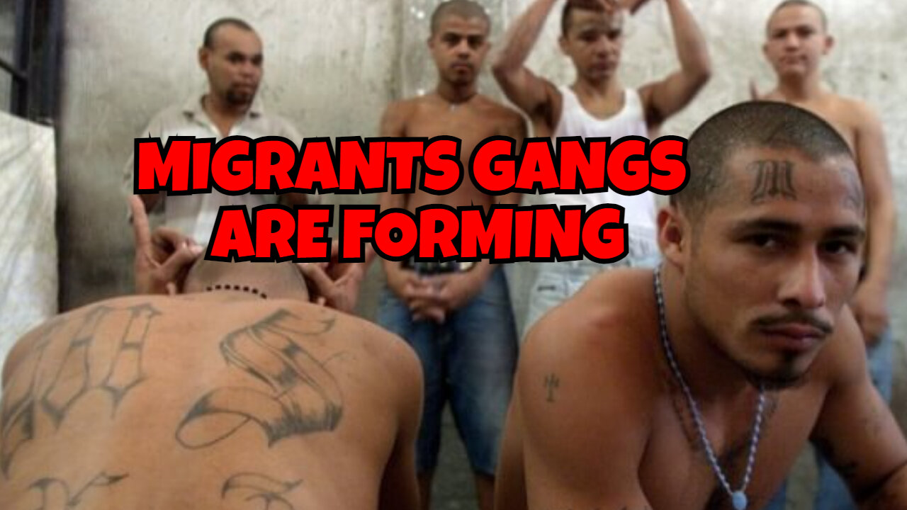 MIGRANTS ARE FORMING GANGS TO TAKE OUT THE AMERICAN CITIZENS (DEEP VIDEO)