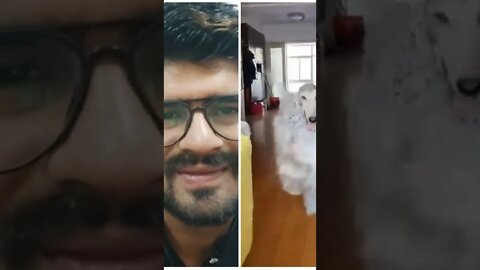 what is this #shorts #youtubeshorts #funny #reaction