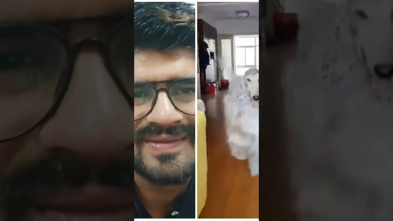 what is this #shorts #youtubeshorts #funny #reaction