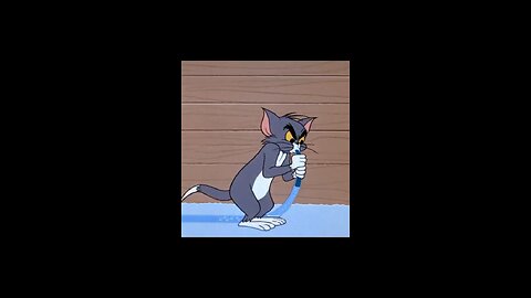 Tom and jerry funny 🔥🤣