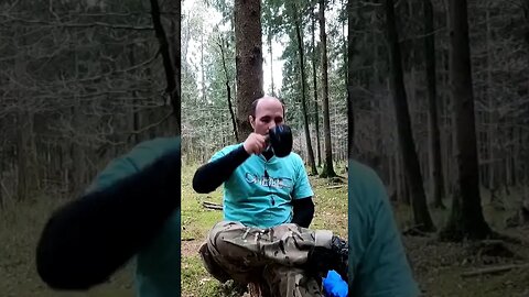 vlog in the woods. wildcamping