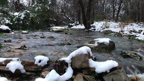 Winter Creek Sounds