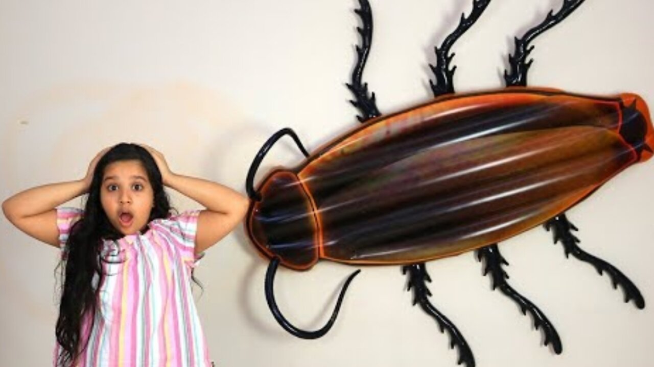 Shfa Giant Cockroach Attack 😳😰