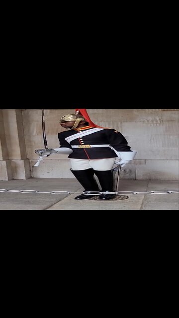 The queen's guard shouts get back #thequeensguard