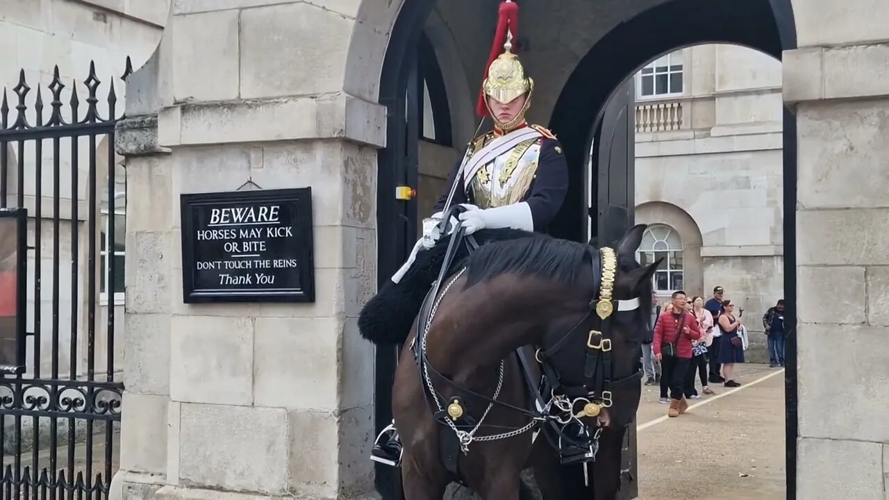 The horse scares thr kid #horseguardsparade