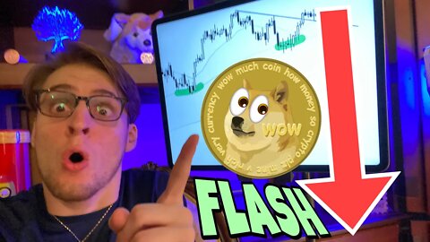 Dogecoin FLASH CRASH Warning ⚠️