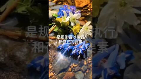开悟堂世界公民频道Kaiwutang world citizen channel 2020.5.9