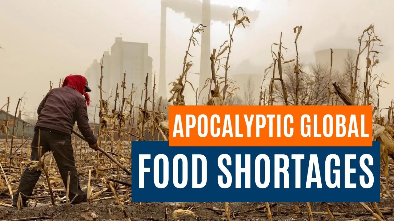 Apocalyptic Global Food Shortages Predicted • TPS REPORT