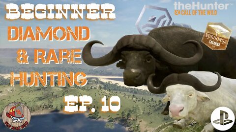 Beginner Diamond & Rare Hunting Ep. 10 theHunter Call of the Wild