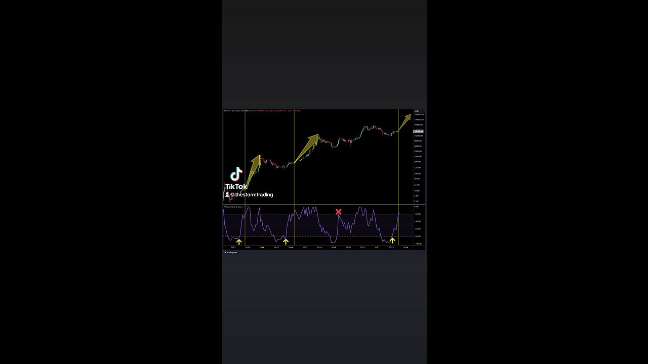🔴 #BITCOIN monthly the Williams %R momentum indicator recently made a rare move