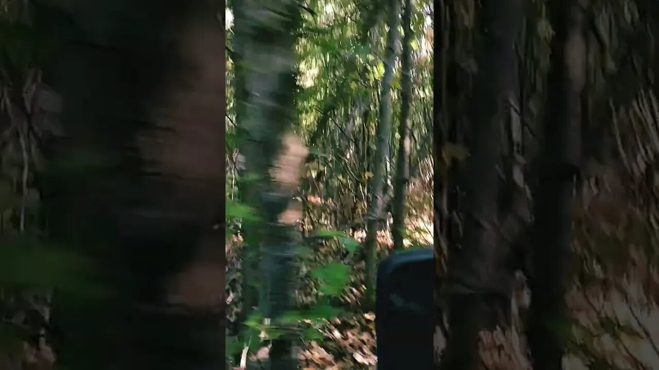 Back Up Terry