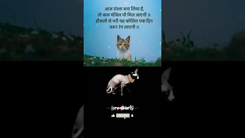 motivational Quotes Intresting Facts #shorts #ytshorts #motivation