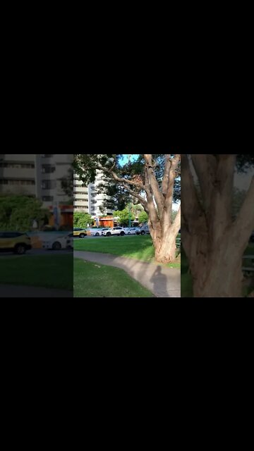 Burleigh Heads - Gold Coast