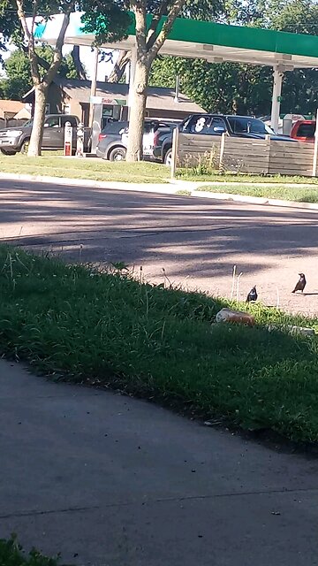 cop pulled somebody over at the gas station