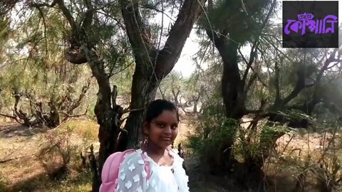 ll লকডাউনে চিল্কা ভ্রমণের একটা ছোট্ট ডায়েরি ll Chilka travel at Lockdown in 2020 ll Satpara visit ll