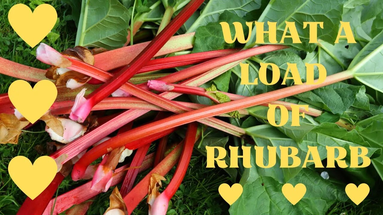 What a Load of Rhubarb