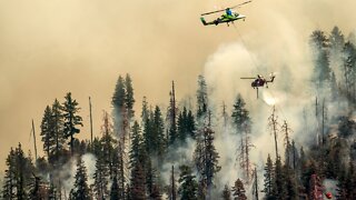 Wildfire in Yosemite National Park continues to grow