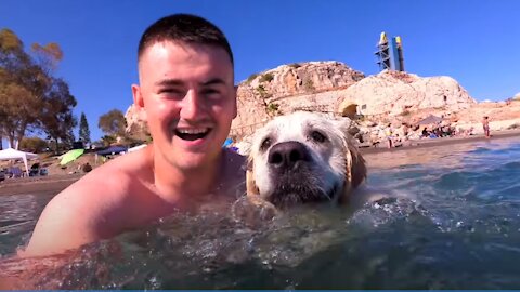 My Funny Dog and I Swim in the Ocean and Have a Great Time on the Beach