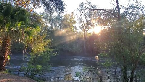 Mist-ic Sunrise at Steinhatchee - Falls 2021