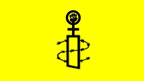 Amnesty Infiltrated By Feminism