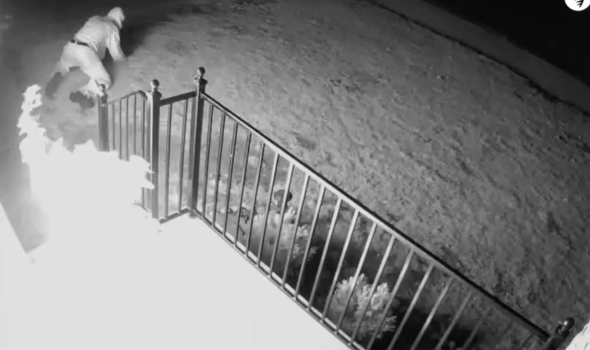 VIDEO: Police searching for suspect who set fire to a Detroit home