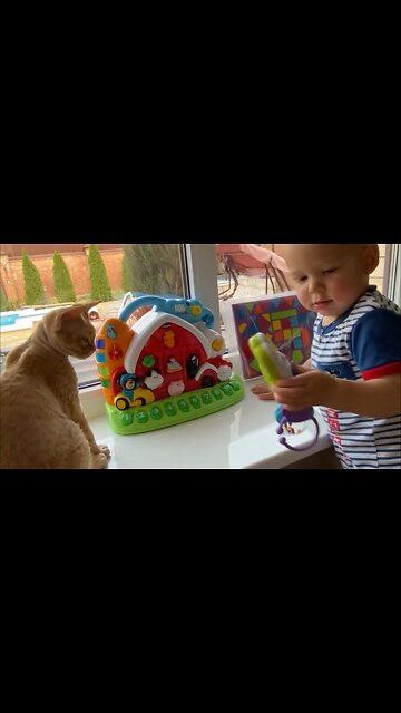 A Cute Baby Playing with His Toys and Cat