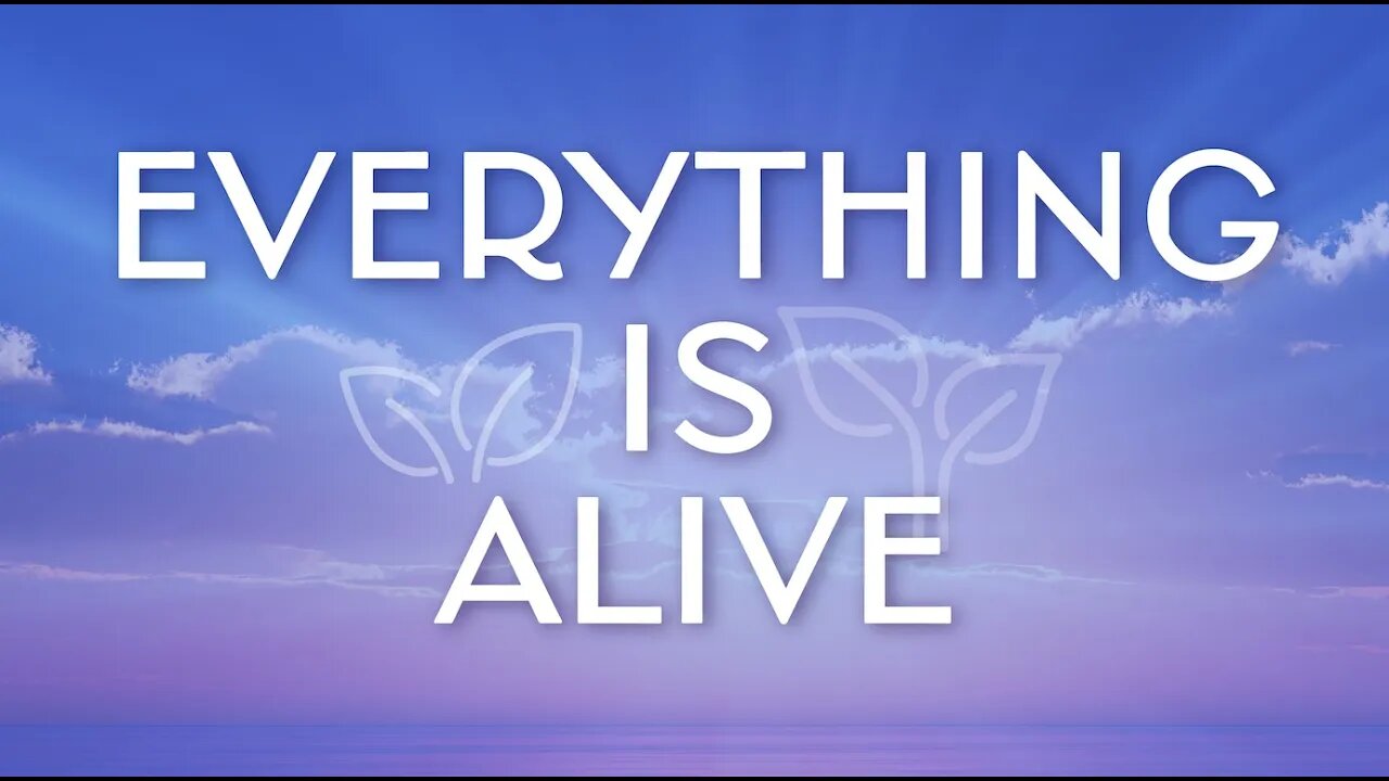 EVERYTHING IS ALIVE!