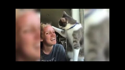 Cute Dogs And Cats That Will Make You Laugh Funny Animals Compilation