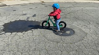 Kid vs puddle. Schwinn balance bike.