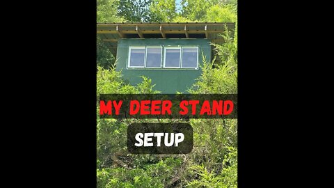 My deer stand setup.