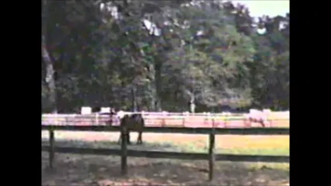 Uncle Paul and Antie Alma's visit to South Carolina to see John and Vicki Beck 1972