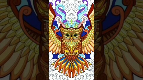 Here is an owl