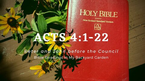 ACTS 4:1-22 (Peter and John Before the Council)