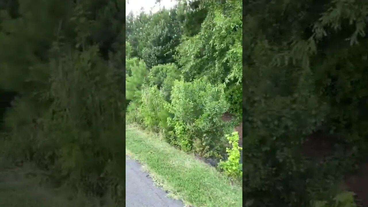Fun 2