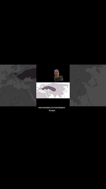 The wild side of pets: Hamsters