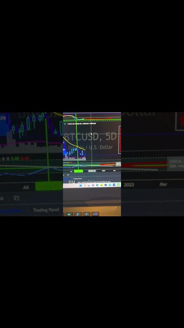 Bitcoin Price Dump-ola